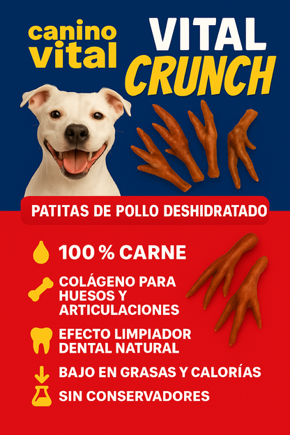 50 Pz patitas de pollo 🐔 Pack Vital -