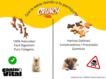 50 Pz patitas de pollo 🐔 Pack Vital -